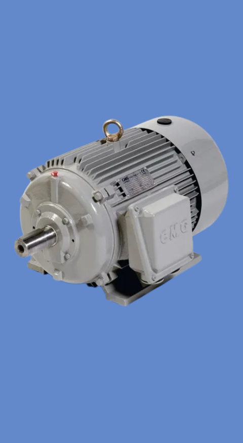 Motor Rewinding
